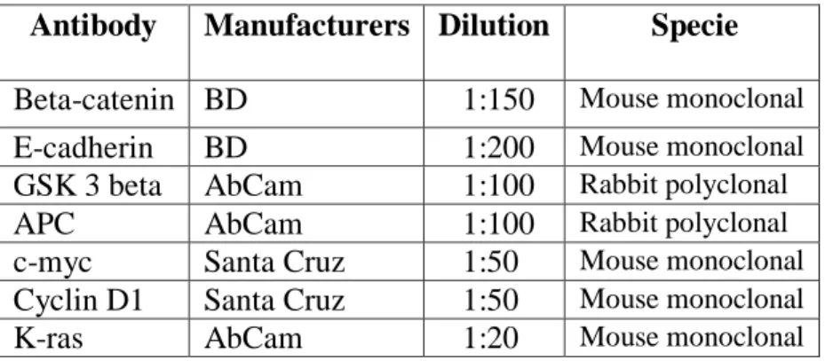 Table 4. Primary antibody for immunological analysis of infiltrated lymphocytes. 