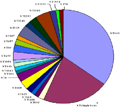 Figure 7. Pie chart depicting different N. gonorrhoeae Sequence Types (STs) identified  among the Italian isolates examined