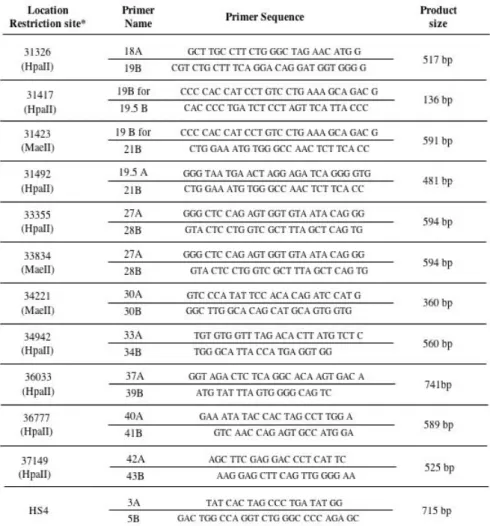 Table 2 The primers used to amplify the different HpaII and MaeII sites in the murine  3’RR