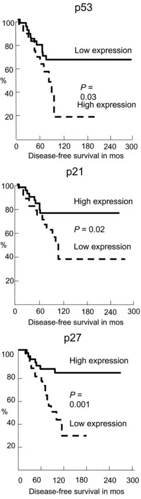 FIGURE 4. Disease-free survival according to expression of cell-cycle pro- pro-teins.