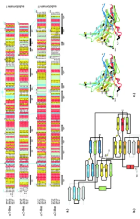 Figure 20: Primary, secondary and tertiary structure of the chains monomers.   