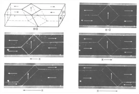 Figura 1.6: Movimento reversibile delle pareti dei domini in un cristallo di ferro.