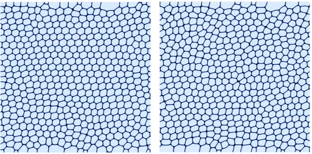 Figure 1: We report snapshots of the density field of closely packed droplets in a Couette flow simulated with the lattice Boltzmann models (see Sec