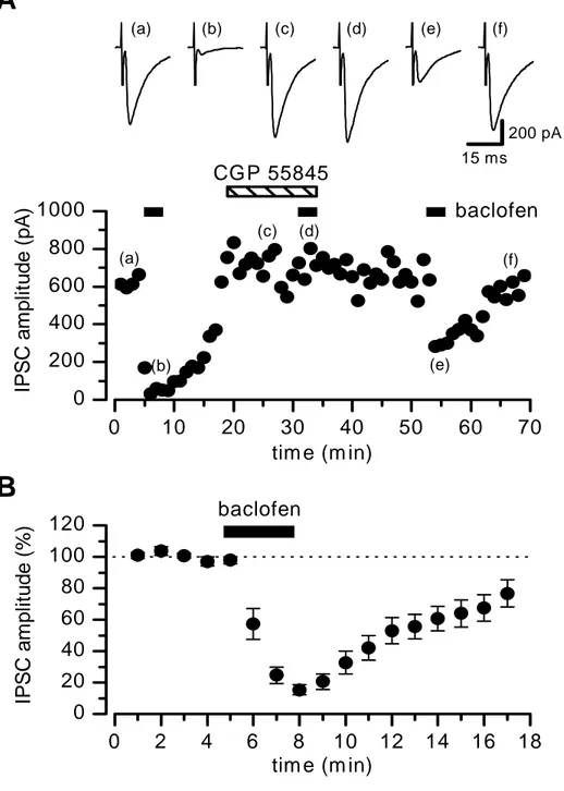 FIG 2: L’applicazione in bagno di 10 μM di baclofen deprime reversibilmente  le correnti inibitorie post sinaptiche evocate