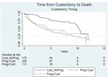 Fig. 3    Kaplan Meier curve according to time cancer-specific death  based on the timing of cystectomy (no progression, progression  before cystectomy, progression at cystectomy) among the cohort of  T1G3 patients treated with BCG who finally underwent ra