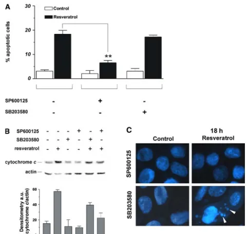 Fig. 6 JNK and p38 MAPK are differently responsible for trans- trans-resveratrol-induced apoptosis