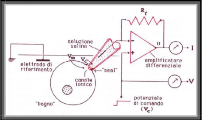 Fig. 20     Rappresentazione schematica del principio del patch clamp  
