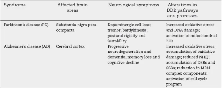 Tabella 3. Alterazioni dei sistemi di riparazione al DNA associate alle malattie di Alzheimer e  Parkinson (modificato da Barzilai et al., 2009 ) 