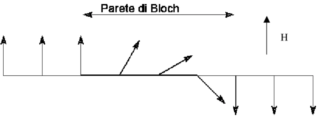 Figura 1.6 Cambiamento dell’orientazione degli spin attraverso la larghezza della parete di Block 