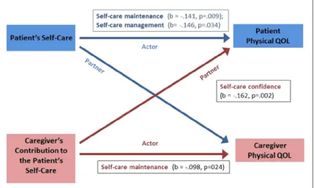 Figure 1.  The actor and partner effects of self-care maintenance, management,  confidence on physical QOL in patient–caregiver dyads (N = 138).