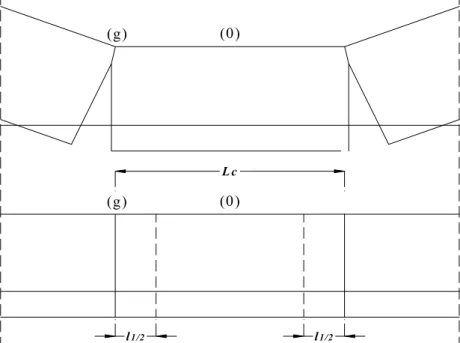 Figura 4.16. Il concio con indicazione delle sezioni di giunto (g) ed intermendia (0)