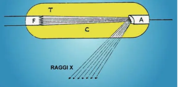 Fig. 35 Schema della lampada a raggi catodici. In un tubo T, in cui viene praticato il vuoto, un filamento F proietta con forza dei raggi catodici C contro l’anticatodo A che a sua volta genera dei raggi X.