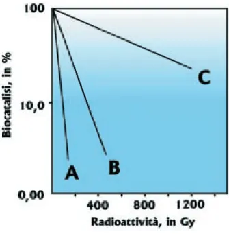 Fig. 69 Inibizione dell’attività enzimatica in funzione della dose radioattiva.