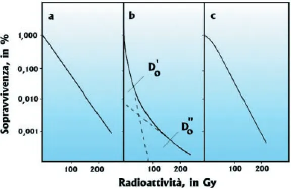 Fig. 71 Sopravvivenza dei batteri in funzione della dose radioattiva.