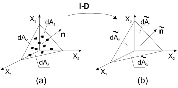 Figura 6.4: Direzione e piani principali di danno: (a) configurazione danneggiata corrente, (b) configurazione integra equivalente.