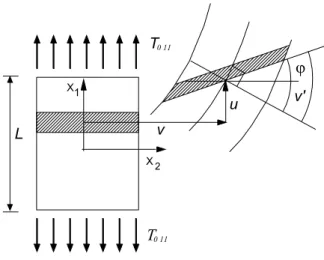 Fig. 6.1. Elemento monodimensionale di materiale incrementalmente lineare. 