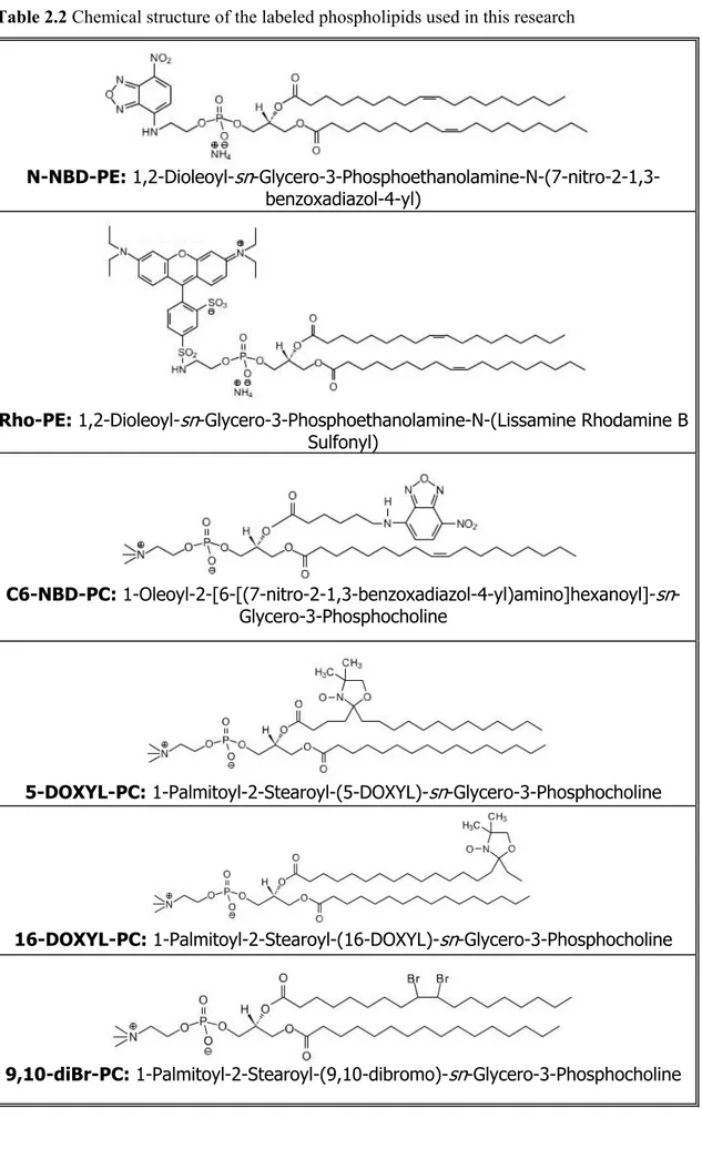 Table 2.2 Chemical structure of the labeled phospholipids used in this research