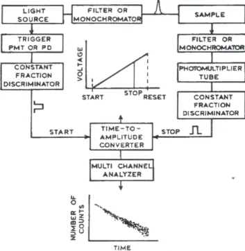 Figure 2. 3  Schematic illustration of the time-correlated single photon counting apparatus
