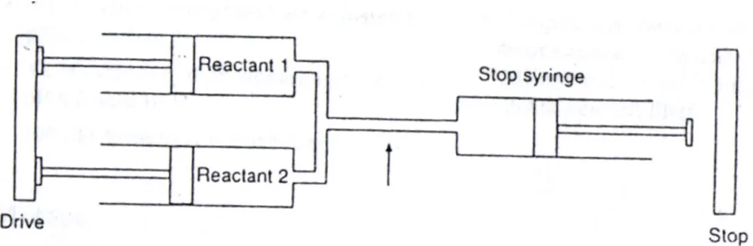 Figure 2.5   Diagrammatic representation of the stopped-flow method. The arrow represents  the point of observation.