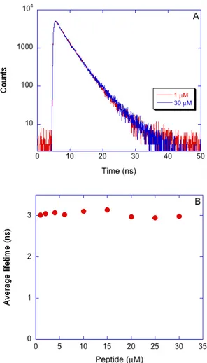 Figure 3.4.  Fluorescence  experiments  on peptide aggregation in  water. Panel A: time  decay  of  PMAP‐W21.  Panel  B:  average  Dluorescence  lifetime  of  PMAP‐