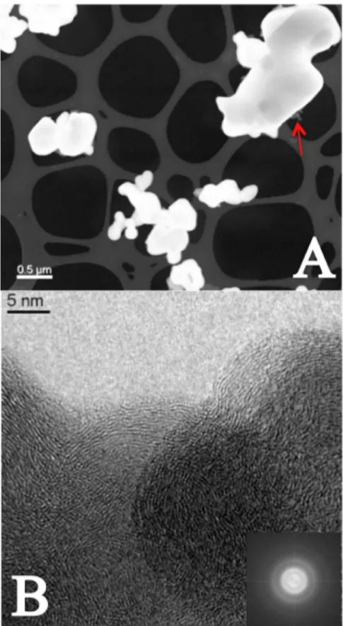 Figure 7. After the experiment. Panel A: STEM image of the powder of the electrode containing OLC
