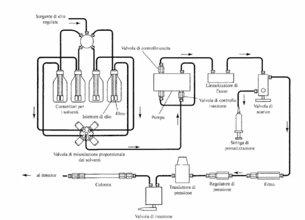 Figura 16. Schema di uno strumento HPLC.