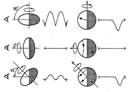 Figure 1.4 – Examples of body profiles with corresponding light curves.