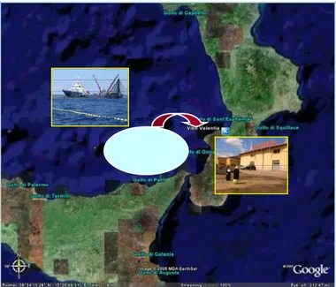 Figura 14: area di pesca e trasferimento dei tonni all’impianto “Marpesca S.R.L.” 