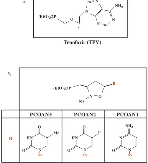 Figure 8: Chemical structure of nucleotide analogues: a) Tenofovir (TFV) and b)  phosphonated carbocyclic compounds of which shows the nitrogenous bases that  distinguish the different PCOANs