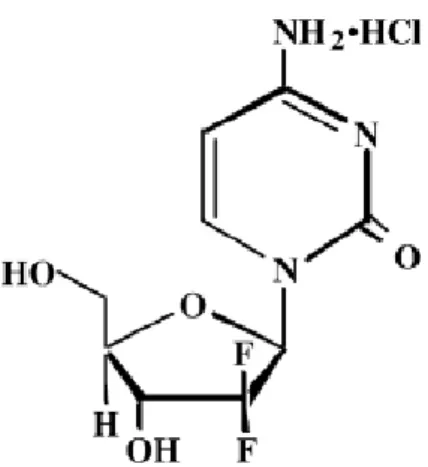 Figure 1. Gemcitabine formula 