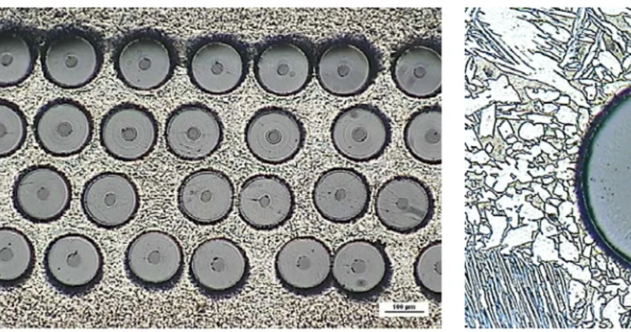 Fig. II-6  Samples of the composite obtained to the experimental tests Tmax (°C) Pmax (bar) Time stop die 