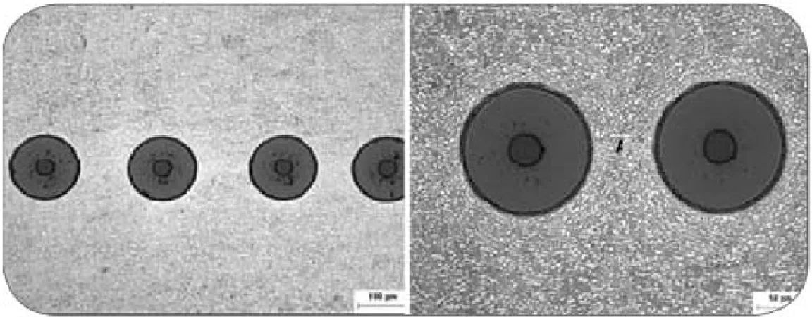 Fig. II-9  Ti6Al4V-SiC f : result of the Roll Diffusion Bonding process and particular  micrography 