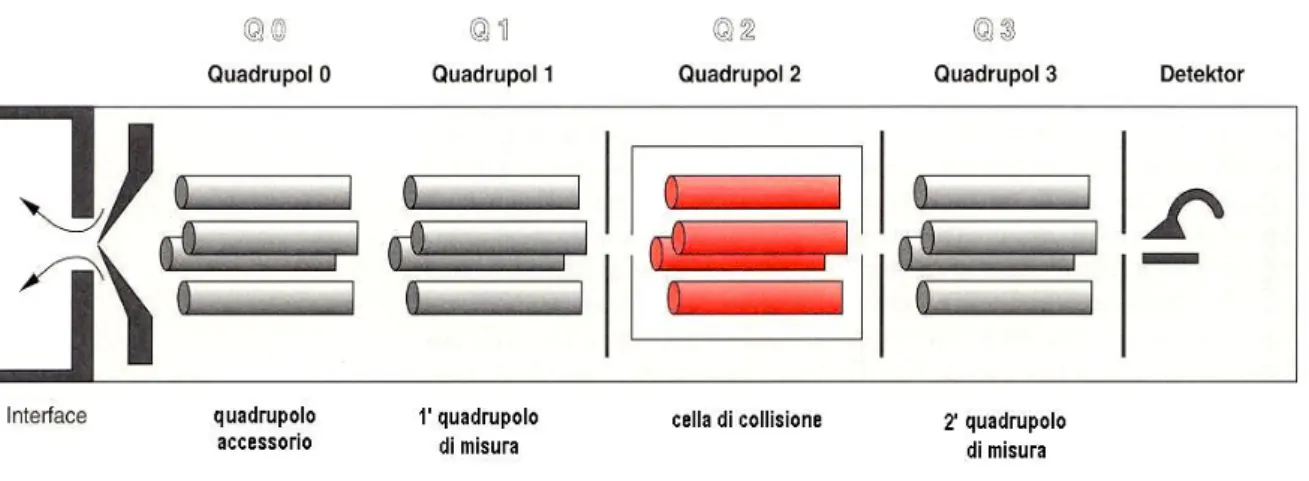 Figura 10. Schema di uno strumento a triplo quadrupolo. Il quadrupolo raffigurato in rosso rappresenta la cella  dicollisione 