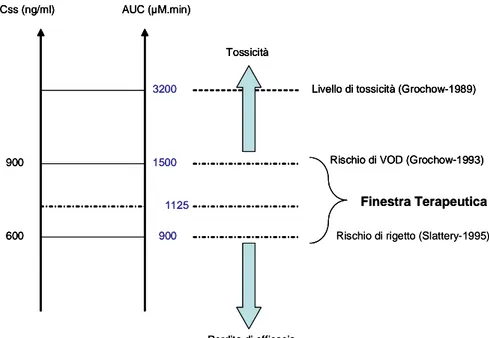 Figura 3. Finestra terapeutica del busulfan.  Finestra TerapeuticaCss (ng/ml)AUC (µM.min)6009001500900TossicitàPerdita di efficacia1125