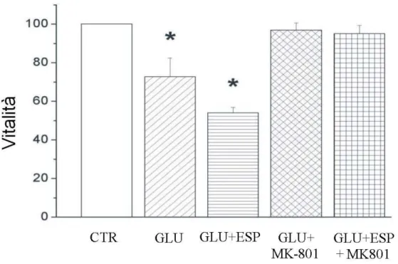 Fig. 1.1 Test di eccitossicità da glutammato su granuli del cervelletto di ratto neonato  dopo cinque giorni di esposizione ai campi elettromagnetici ELF