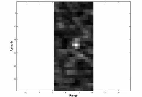 Fig. 3.8 and 3.9 show the amplitude image of the simulated sea scene in two and three  dimensions respectively, with a lognormal distribution