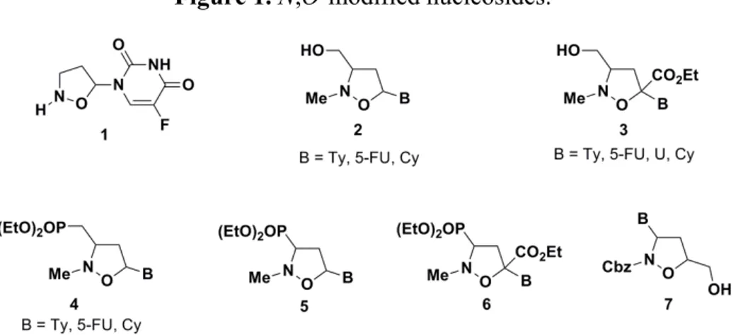 Figure 1. N,O-modified nucleosides. 
