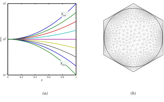 Figure 2. (a) grading function g(ρ). (b) Hexagonal unit cell. 