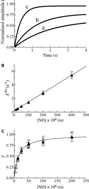 Fig. 1. NO binding to HSA-heme-Fe(III), at pH 5.5 and 20 C.