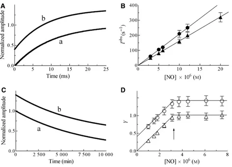 Fig. 4. HSA-heme-Fe(II) nitrosylation at pH 5.5 and 7.5, and at 20 C. (A) Normalized averaged time course of HSA-heme-Fe(II) nitrosylation at pH 5.5 (trace a) and 7.5 (trace b), and at 20 C