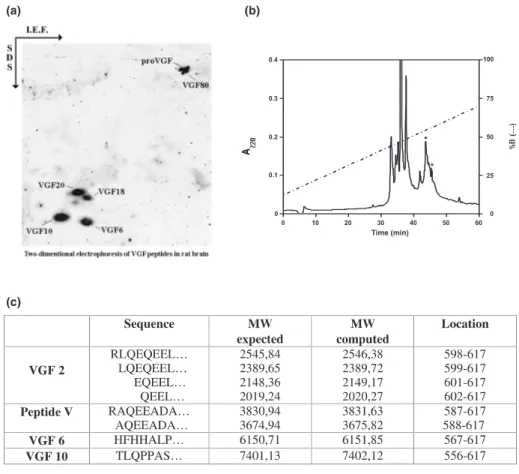 Fig. 3 Isolation and characterization of VGF peptides from rat brain.