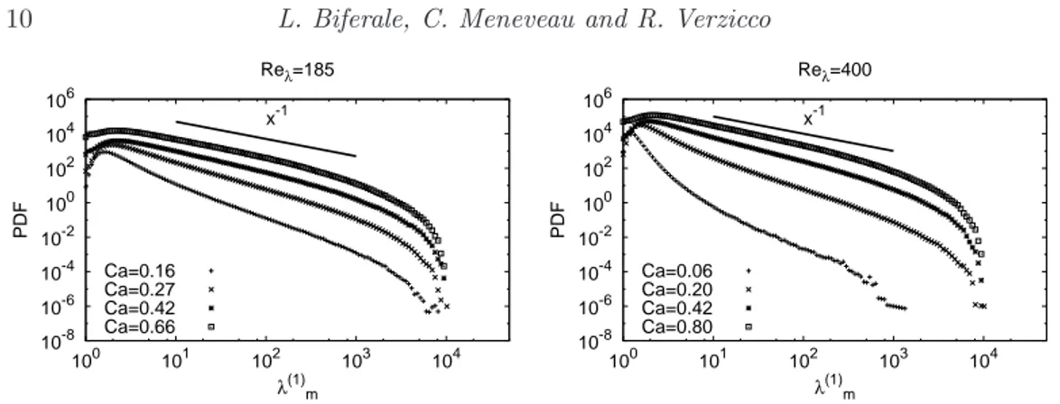 Figure 4. Probability density functions of largest eigenvalue λ (1) m of the morphology tensor M , obtained from solving the Maffettone &amp; Minale droplet model coupled to Lagrangian time history of turbulent velocity gradients from DNS at Re λ = 185 (le