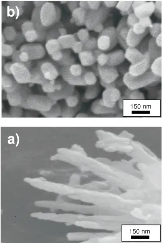 Figure 4. (a) TEM image of the Cd250 sample showing an individual nanowire. (b) HRTEM image showing lattice fringes coming from a nanowire.
