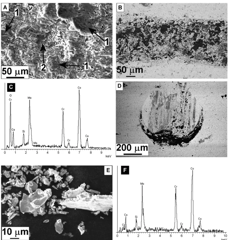 Fig. 9. Tribological tests: as-sprayed Co800 tested against steel pin. (A) Coating wear track, showing evidence of plastic deformation and adhesive wear (1) and of brittle fracture (2); (B) backscattered electron SEM micrograph showing oxide clusters (dark