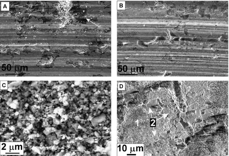 Fig. 11. Tribological tests: as-sprayed coatings tested against Al 2 O 3 pin. (A and B) Wear tracks on Co800 and Ni700 coatings, respectively; (C) wear debris collected on Ni700 sample; (D) Al 2 O 3 pin wear scar: 1 = transfer material from pin; 2 = interg