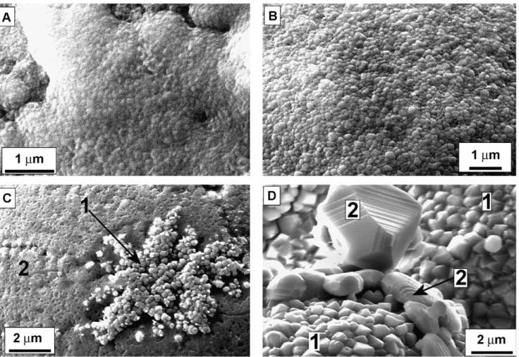 Fig. 5. Spray powders heat treated at the DTA peak temperatures: (A) Co800, 846 ◦ C – 5 min; (B) Co800, 1050 ◦ C – 5 min; (C) Co800, 1146 ◦ C – 5 min (1 = oxide clusters; 2 = damaged surface); (D) Ni700, 1258 ◦ C – 5 min (1 = Ni, Cr oxides; 2 = Ni oxides).