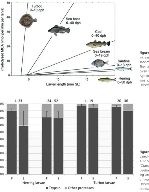 Figure 4 Increase in tryptic activity with increasing larval size. Comparison of six species reared under laboratory conditions.