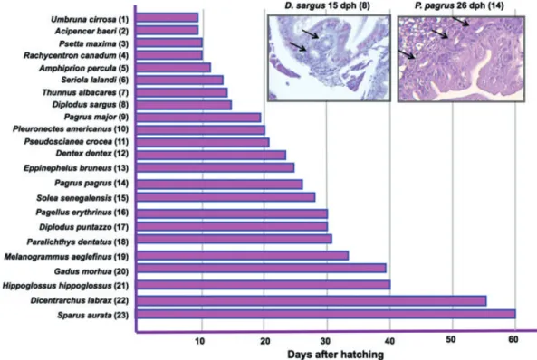 Figure 2 Age of detection of first gastric glands in various species of interest in aquaculture