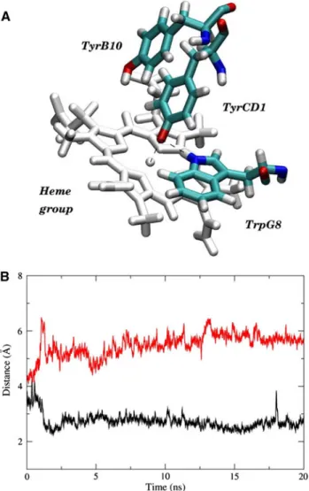 Fig. 4 Ph-2/2HbO Fe(III). Time evolution of selected distances between distal residues of the protein