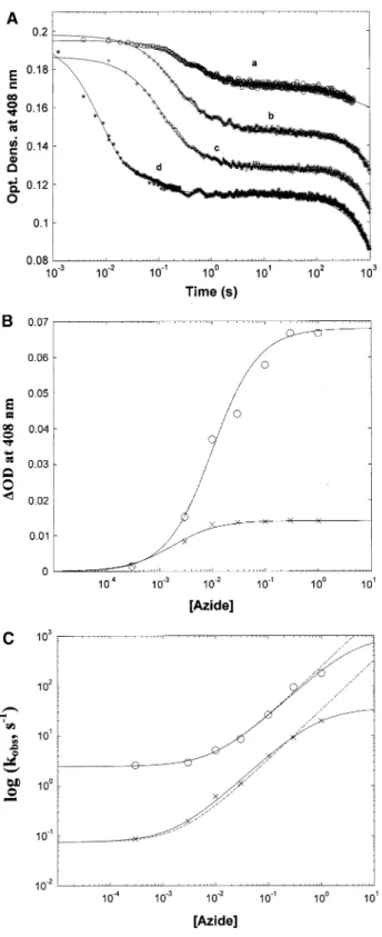 Fig. 3 a Kinetic progress curves at 408 nm of 3 9 10 -6 M Fe(III) Ph-2/2HbO for different concentrations of N 3 - ; i.e., 3 9 10 -4 M (curve a), 3 9 10 -3 M (curve b), 1 9 10 -2 M (curve c) and 3 9 10 -1 M (curve d) at pH 7.0 and 20 °C